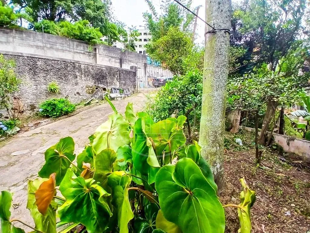 Terreno, 2850 m² - Foto 5