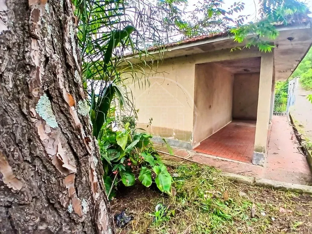 Terreno, 2850 m² - Foto 3