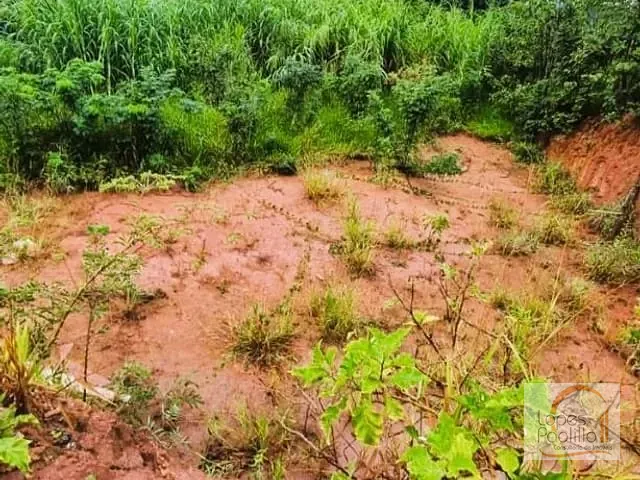 Terreno com 536m², à venda, no bairro Jardim Paulista em Atibaia
