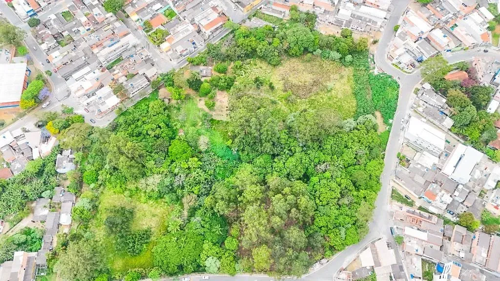 Terreno, 3 hectares - Foto 2