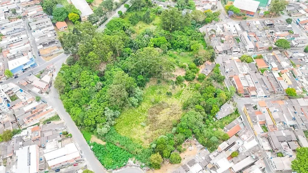 Terreno, 3 hectares - Foto 8