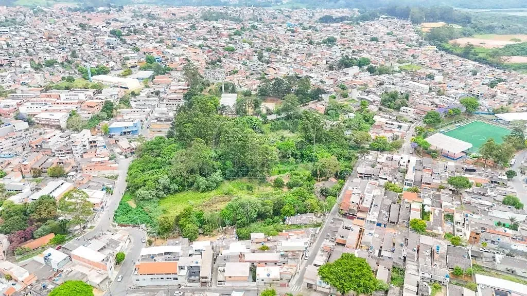 Terreno, 3 hectares - Foto 7