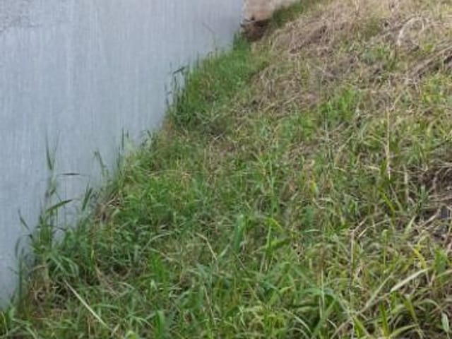 Foto do Terreno - Terreno à venda, 300 m² por R$ 600.000,00 - Jardim Vila Formosa - São Paulo/SP | ZONA LESTE IMÓVEIS