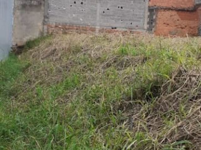 Foto do Terreno - Terreno à venda, 300 m² por R$ 600.000,00 - Jardim Vila Formosa - São Paulo/SP | ZONA LESTE IMÓVEIS
