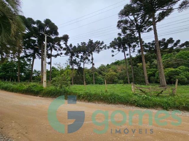 Terreno com 9767m², à venda, no bairro Colônia Antônio Prado em Almirante Tamandaré