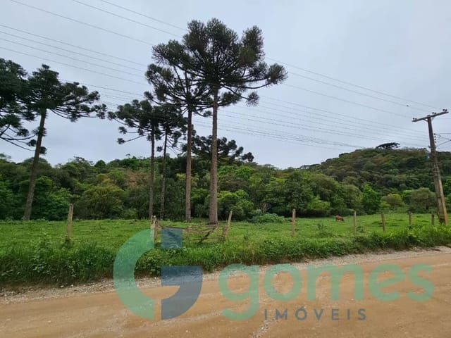 Terreno com 9767m², à venda, no bairro Colônia Antônio Prado em Almirante Tamandaré