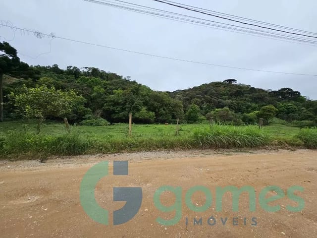 Terreno com 9767m², à venda, no bairro Colônia Antônio Prado em Almirante Tamandaré