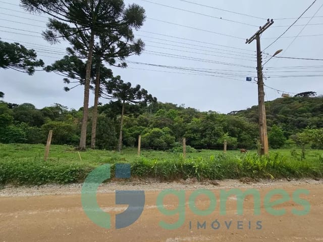 Terreno com 9767m², à venda, no bairro Colônia Antônio Prado em Almirante Tamandaré