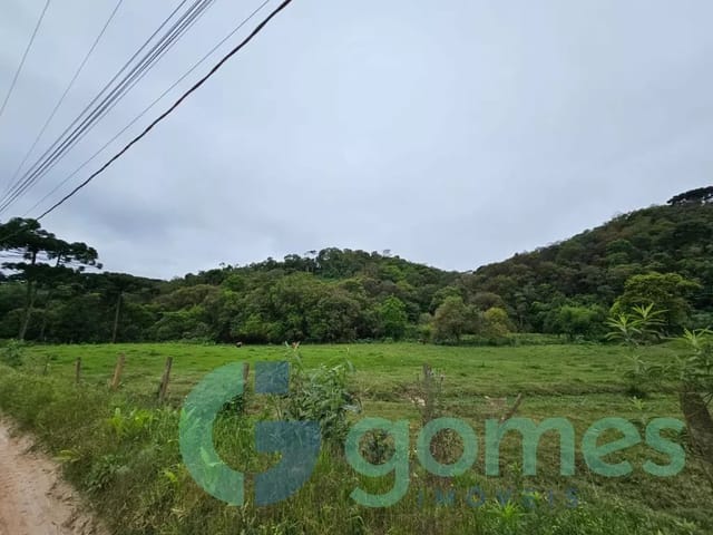 Terreno com 9767m², à venda, no bairro Colônia Antônio Prado em Almirante Tamandaré