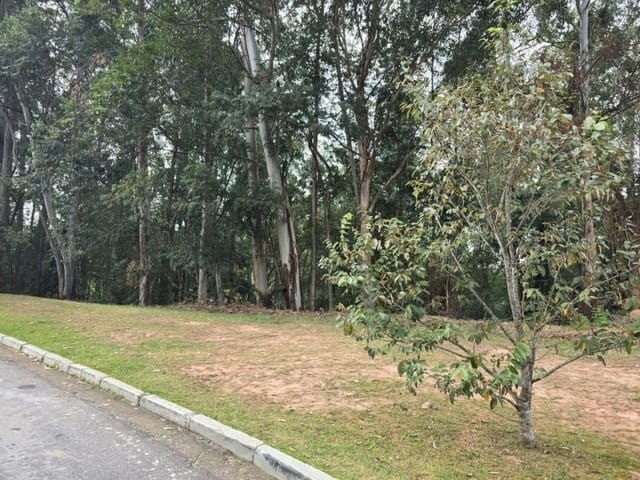 Terreno com 2917m², à venda, no bairro Tamboré em Barueri