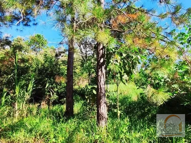 Terreno com 496m², à venda, no bairro Parque Res Itaguacu em Atibaia
