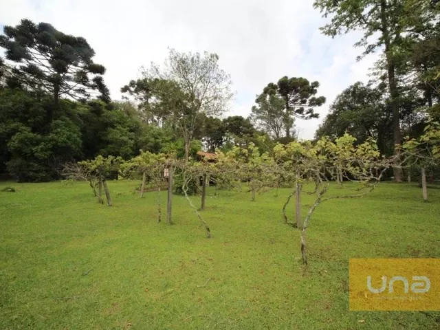 Terreno à venda, no bairro Vila Franca em Piraquara