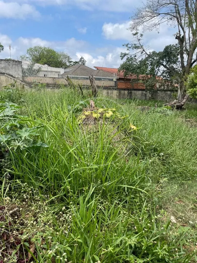 Terreno, 1050 m² - Foto 2