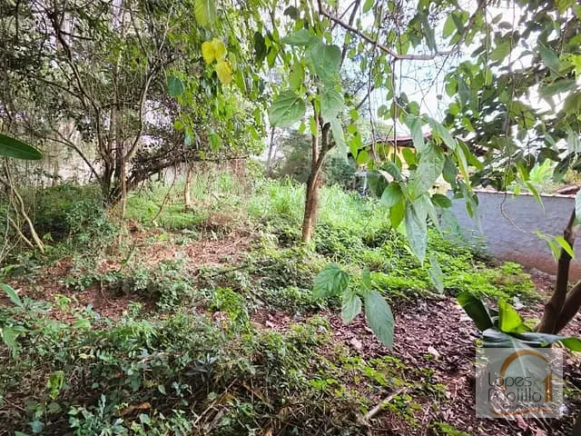 Terreno com 1068m², à venda, no bairro Jardim Suely em Atibaia