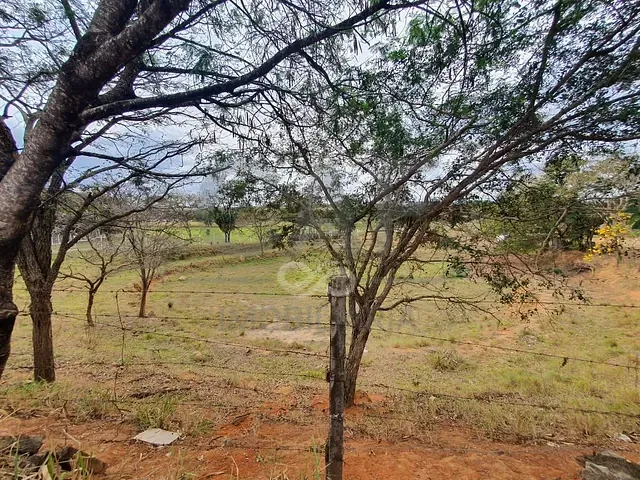 Terreno com 72400m², à venda, no bairro Nucleo Santa Barbara em Jaguariúna