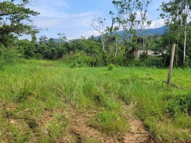 Foto do Terreno - Terreno à venda, 387 m² por R$ 92.000,00 - Rio da Prata - Ubatuba/SP | INDEPENDENCE NEGOCIOS IMOBILIARIOS LTDA