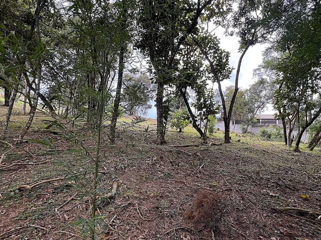 Terreno com 1575m², à venda, no bairro Vila de São Fernando em Cotia