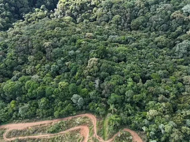 Terreno com 8709m², à venda, no bairro Não informado em Almirante Tamandaré