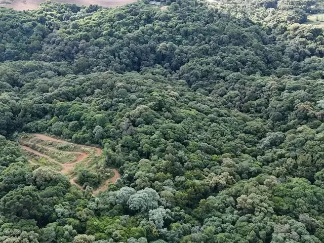 Terreno com 8709m², à venda, no bairro Não informado em Almirante Tamandaré