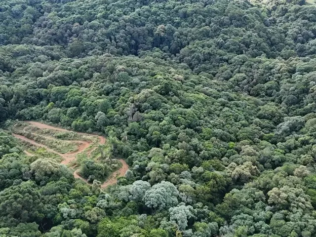 Terreno com 8709m², à venda, no bairro Não informado em Almirante Tamandaré