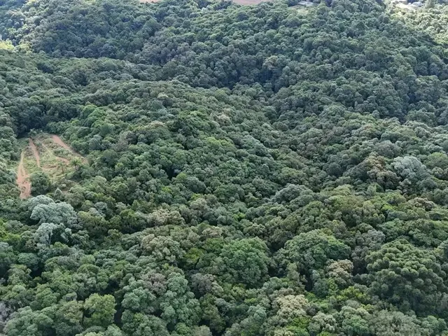 Terreno com 8709m², à venda, no bairro Não informado em Almirante Tamandaré