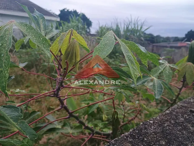 Terreno com 130m², à venda, no bairro Chácaras Pousada do Vale em São José dos Campos