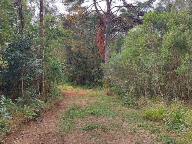 Terreno à venda, Colônia Lago, Palmeira, PR