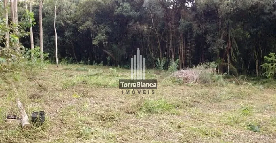 Terreno, 3 hectares - Foto 6