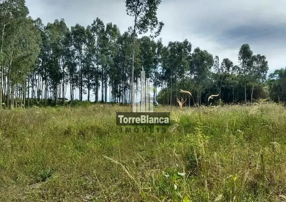 Terreno, 3 hectares - Foto 13