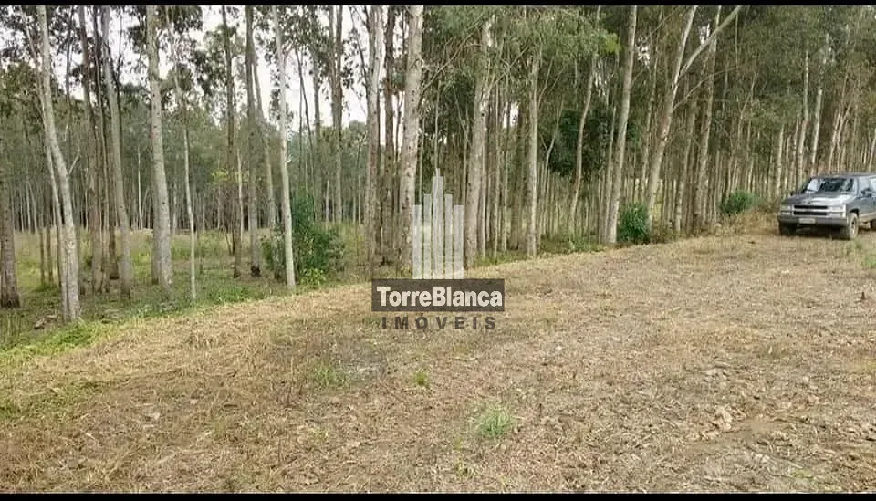 Terreno, 3 hectares - Foto 10