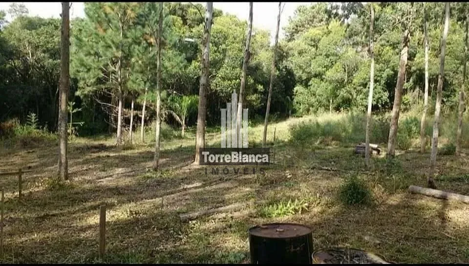 Terreno, 3 hectares - Foto 11