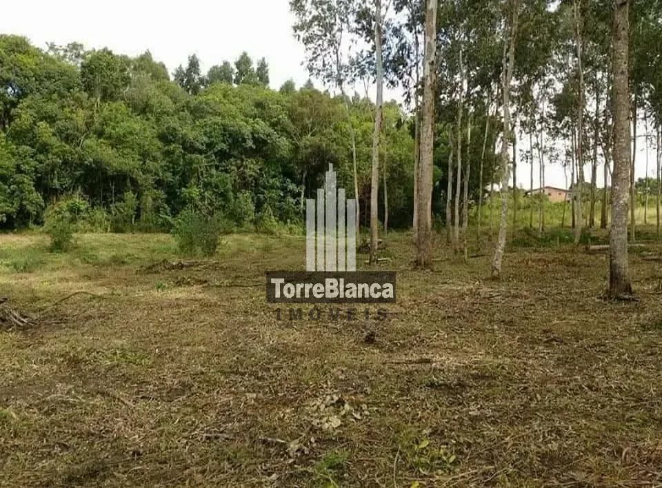 Terreno, 3 hectares - Foto 18