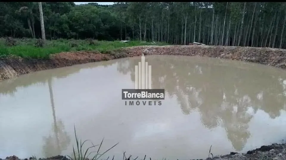 Terreno, 3 hectares - Foto 9