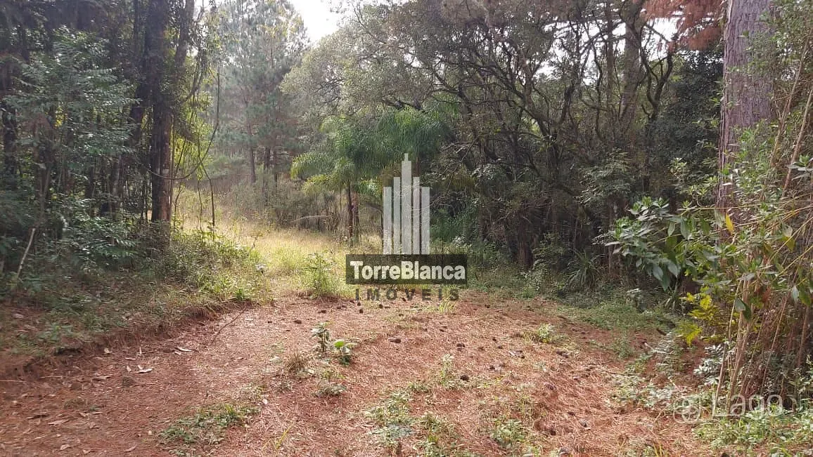 Terreno, 3 hectares - Foto 2