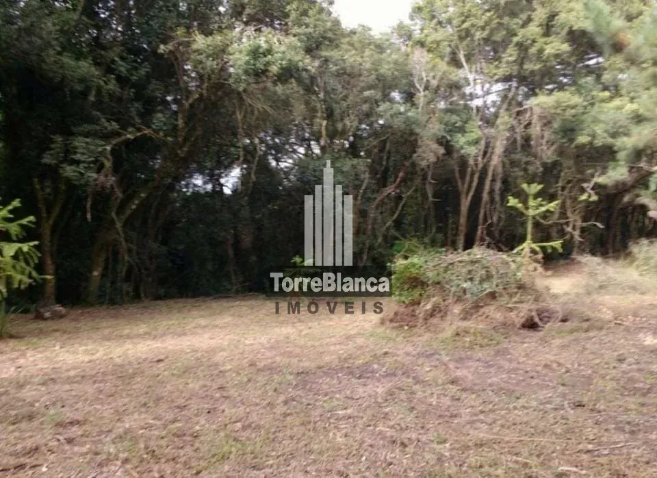 Terreno, 3 hectares - Foto 3