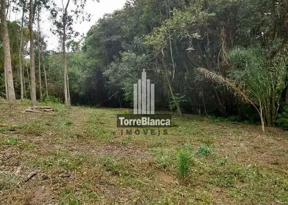 Terreno, 3 hectares - Foto 12