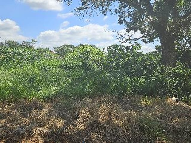 Foto do Terreno - Terreno à venda 10M², JARDIM SANTA RITA DE CASSIA, CAPIVARI - SP | Imobiliária Compare