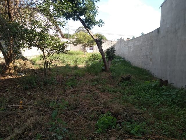 Foto do Terreno - Terreno à venda, 500 m² por R$ 360.000,00 - Putim - São José dos Campos/SP | INDEPENDENCE NEGOCIOS IMOBILIARIOS LTDA
