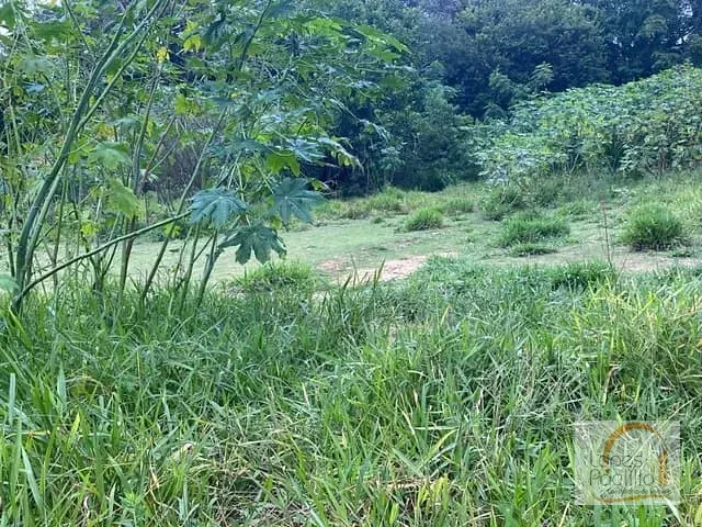 Terreno com 988m², à venda, no bairro Itapetinga em Atibaia