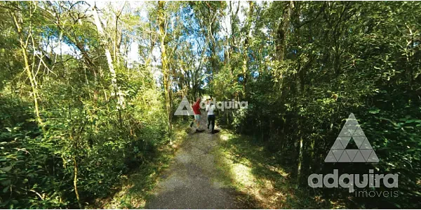 Terreno, 627 m² - Foto 8