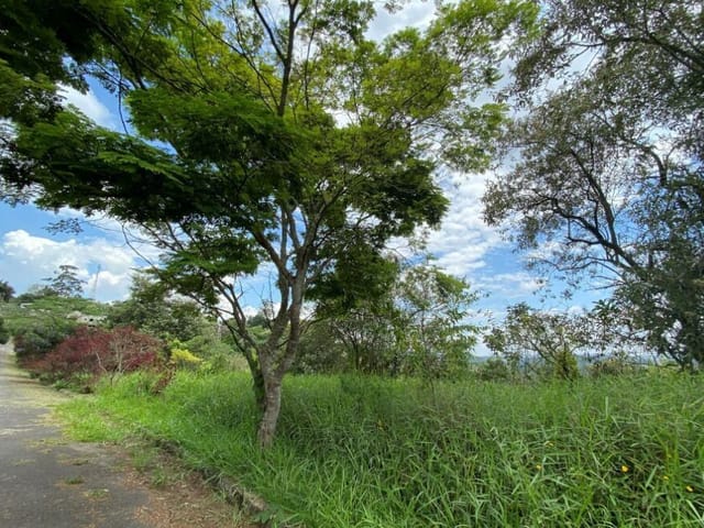 Terreno com 1500m², à venda, no bairro Portal Roselândia em Cotia