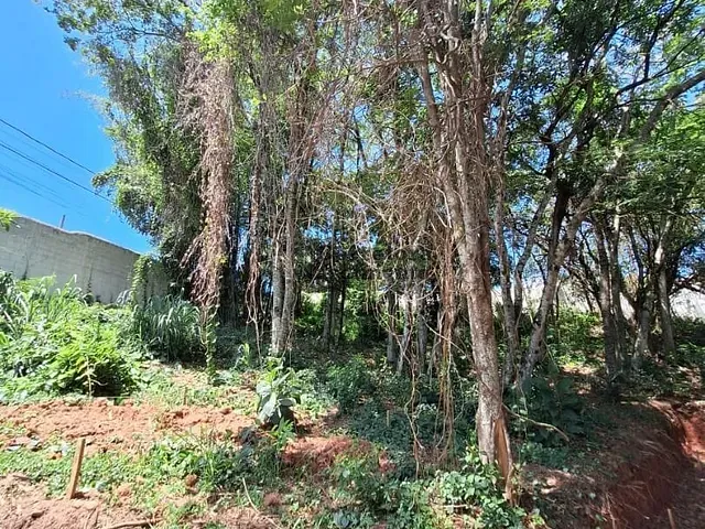 Terreno com 441m², à venda, no bairro Centro em Jacareí