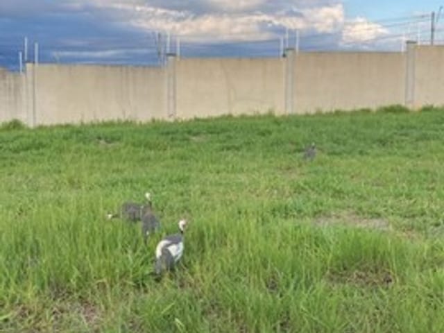 Terreno com 275m², à venda, no bairro Fazenda Itapecerica em Taubaté