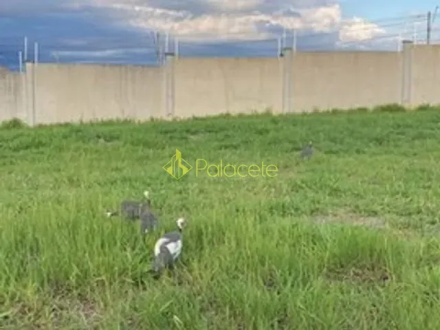 Terreno com 275m², à venda, no bairro Fazenda Itapecerica em Taubaté