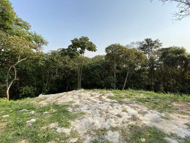 Terreno com 622m², à venda, no bairro Chácara Moinho Velho em Carapicuíba