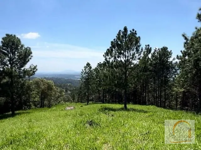 Terreno com 20000m², à venda, no bairro Pinheirinho em Atibaia