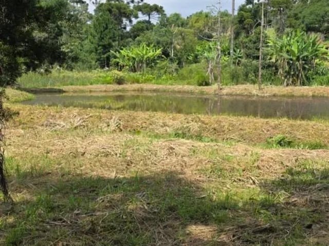Terreno à venda, no bairro Vila Conceição em Campo Largo