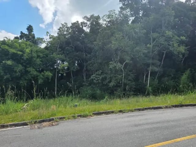 Terreno à venda, no bairro Vila Conceição em Campo Largo