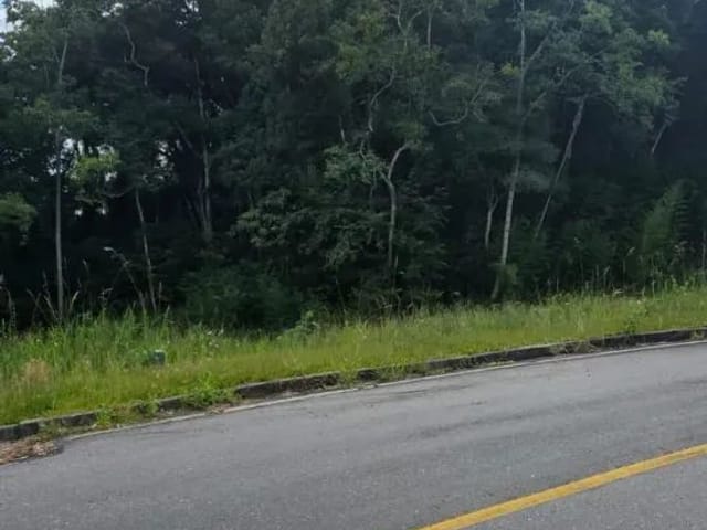 Terreno à venda, no bairro Vila Conceição em Campo Largo