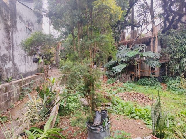 Foto do Terreno - Terreno à venda, 540 m² por R$ 430.000,00 - Centro - Jacareí/SP | INDEPENDENCE NEGOCIOS IMOBILIARIOS LTDA